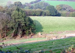 looking down into the valley