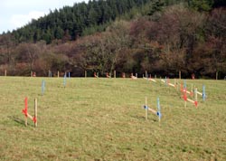 Looe Mills - Pegging out the attenuation ponds