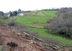 towards Havett Hill
