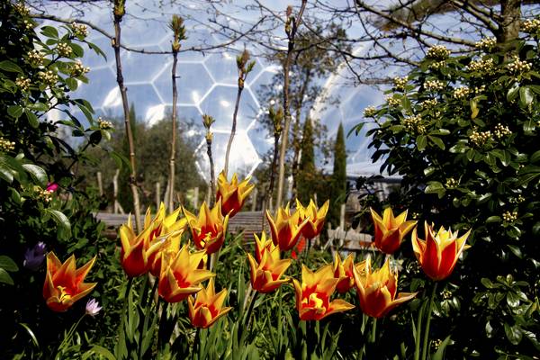 8th April 2012 - Easter at Eden.