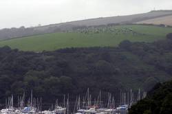 Red Arrows over Fowey