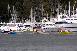Dartmouth Regatta rowing races