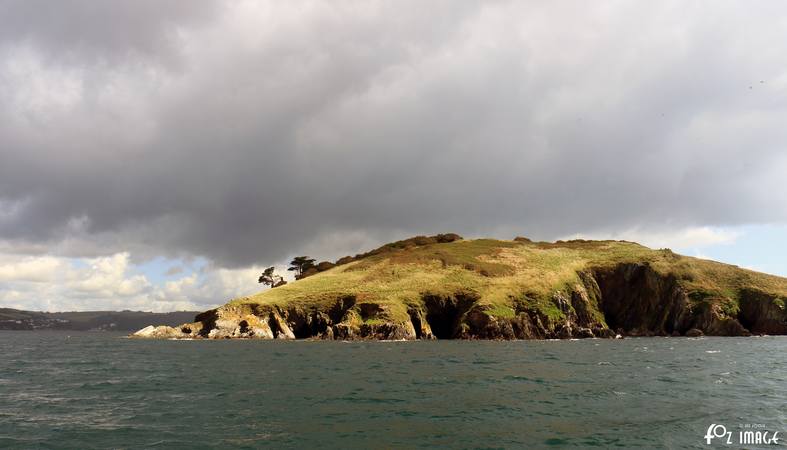 15 August 2017 - Glass bottom boat trip © Ian Foster / fozimage