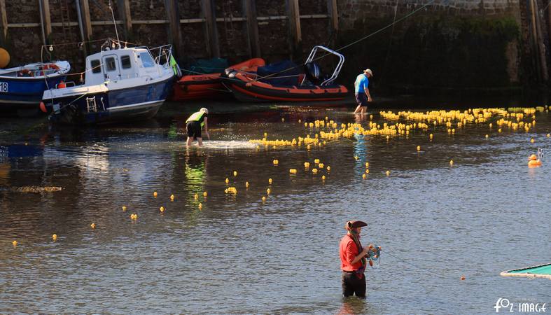 27 August 2017 - Looe duck race © Ian Foster / fozimage