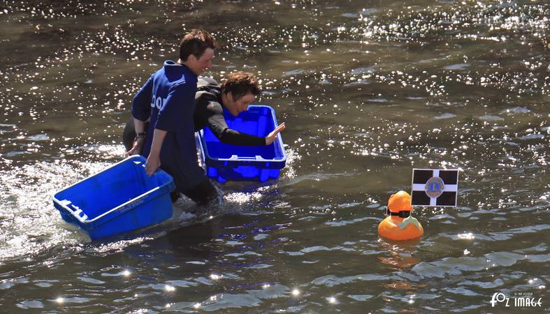 27 August 2017 - Looe duck race © Ian Foster / fozimage