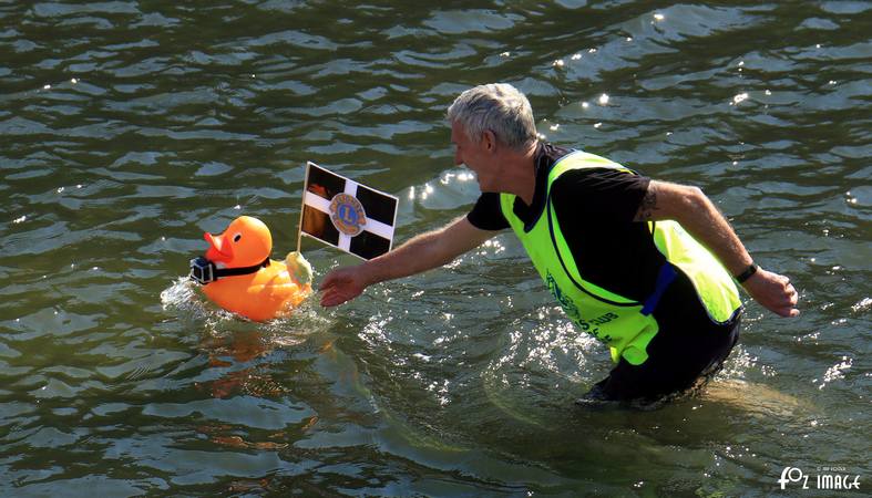 27 August 2017 - Looe duck race © Ian Foster / fozimage