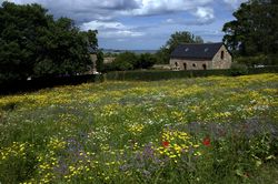 Abbaye de Beauport