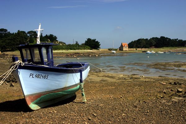 Bugueles - © Ian Foster / fozimage