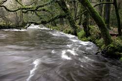 River Fowey at Draynes Bridge