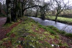 River Fowey at Draynes Bridge