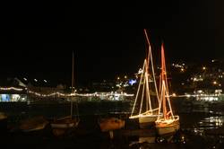 Christmas lights on the East Looe River