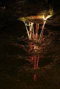 Christmas lights on the East Looe River