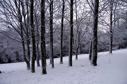 Treheath estate in the snow