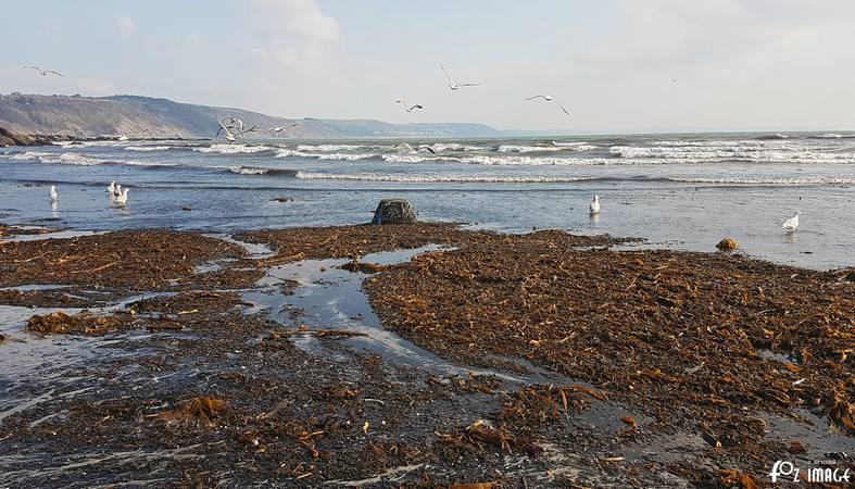 12 February 2017 - Low tide East Looe beach © Ian Foster / fozimage