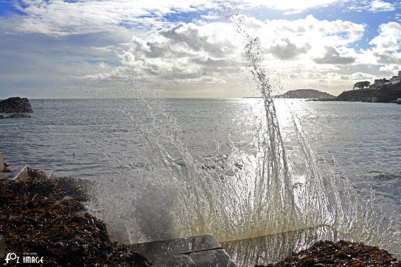 4 February 2017 - Seaweed and Splashes © Ian Foster / fozimage