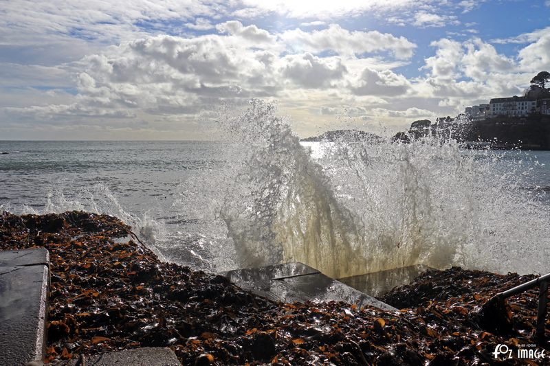 4 February 2017 - Seaweed and Splashes © Ian Foster / fozimage