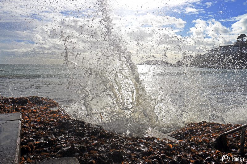 4 February 2017 - Seaweed and Splashes © Ian Foster / fozimage