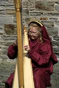 Harpist in the Rose garden