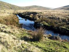 West Okement River valley