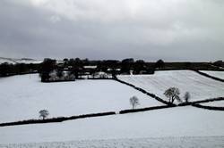 Looking North accross the Fowey river valley towards St Neot