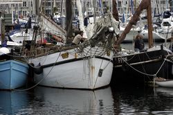 Sutton harbour