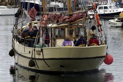 Sutton harbour