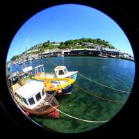 Fishing boats