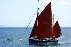 Mevagissey working sail regatta - FY7 Our Daddy