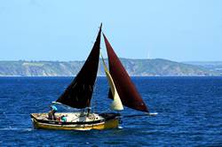 Mevagissey working sail regatta - FY20 Vilona May