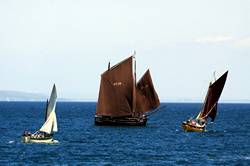 Mevagissey working sail regatta - FY20 Vilona May and SS19 Ripple
