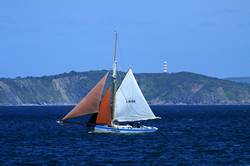 Mevagissey working sail regatta - LN196 Victorious