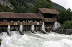 south bank of the river Aare