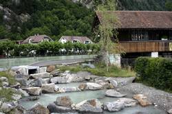 south bank of the river Aare