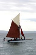 Looe Lugger Regatta