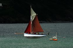 Looe Lugger Regatta