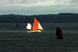 Looe Lugger Regatta