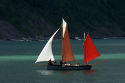 Looe Lugger Regatta