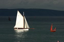 Looe Lugger Regatta