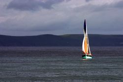 Looe Lugger Regatta - CM 2924 - La Nebuleuse