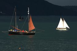 Looe Lugger Regatta