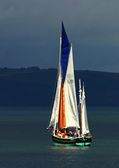 Looe Lugger Regatta