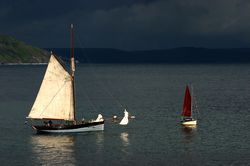 Looe Lugger Regatta