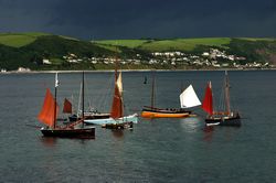 Looe Lugger Regatta