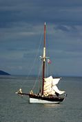 Looe Lugger Regatta