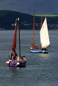 Looe Lugger Regatta