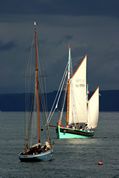 Looe Lugger Regatta