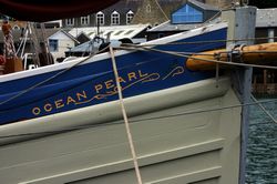 Looe Lugger Regatta