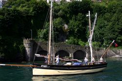 Looe Lugger Regatta