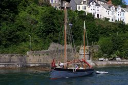 Looe Lugger Regatta