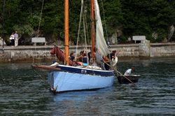 Looe Lugger Regatta